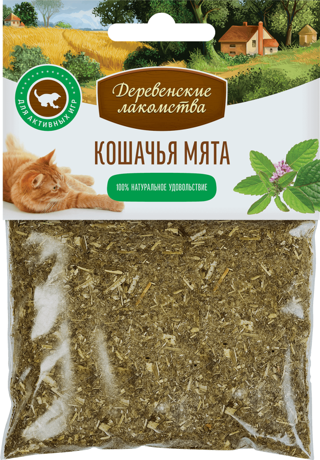 Кошачья мята для кошек